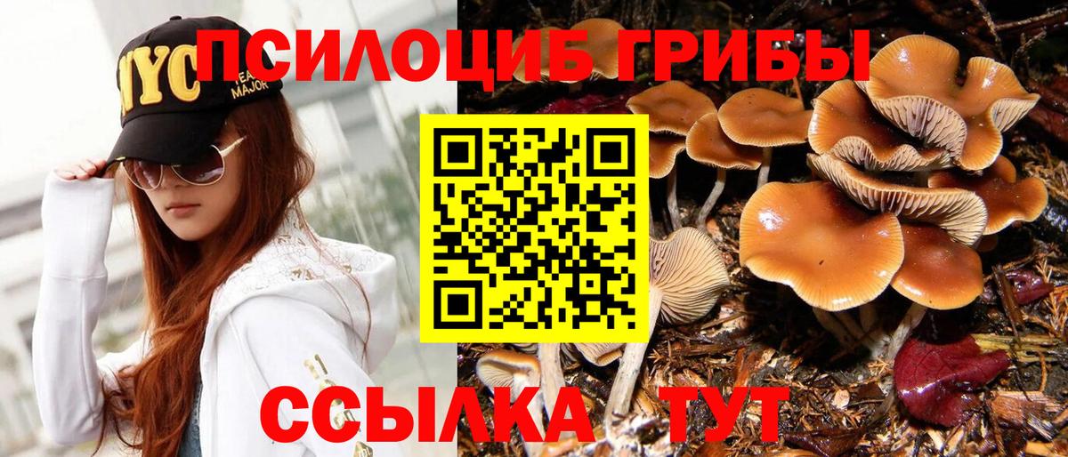 Псилоцибиновые грибы MAGIC MUSHROOMS Костомукша