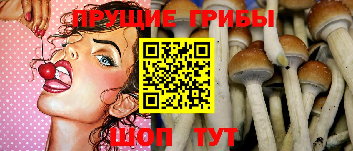 Галлюциногенные грибы ЛСД  Вход с VPN  Костомукша 